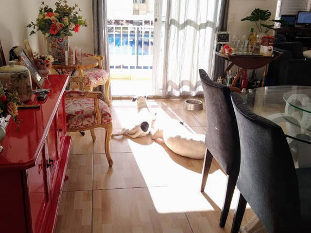 Apartamento para Venda em São Paulo - 2